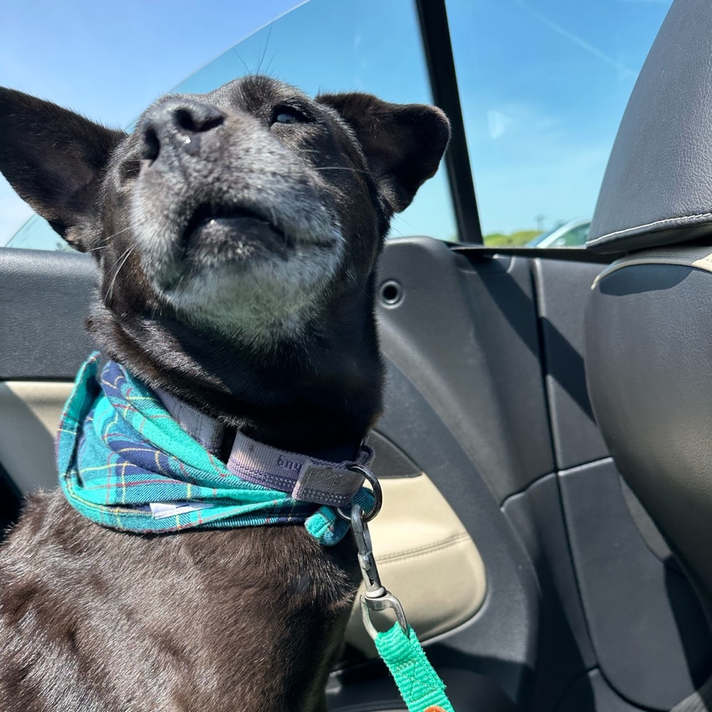 Meet your Posher, Becky